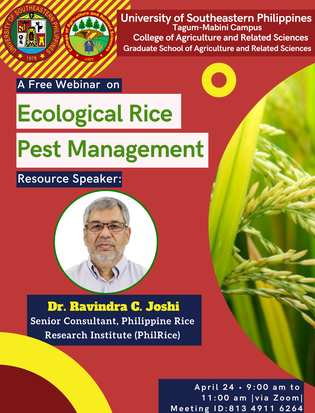 GS CARS organizes a webinar on ecological rice pest management