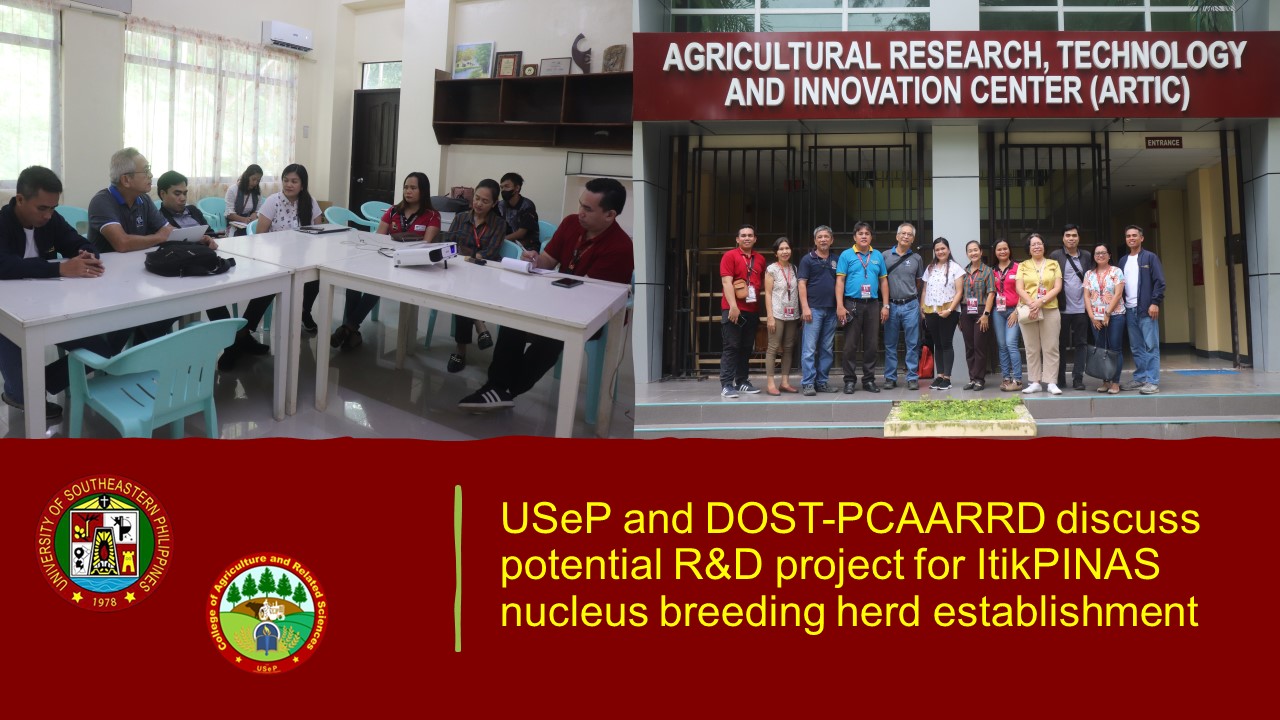 USeP and DOST-PCAARRD discuss potential R&D project for ItikPINAS nucleus breeding herd establishment