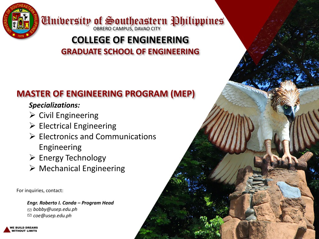 phd engineering philippines